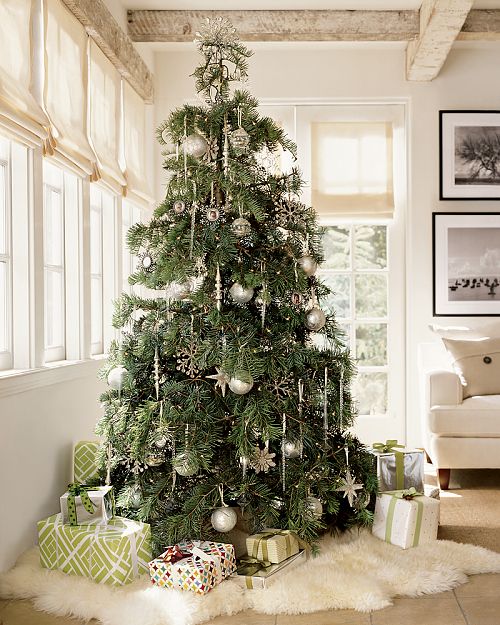19 Christmas Tree Ideas {Christmas tree theme} - C.R.A.F.T.